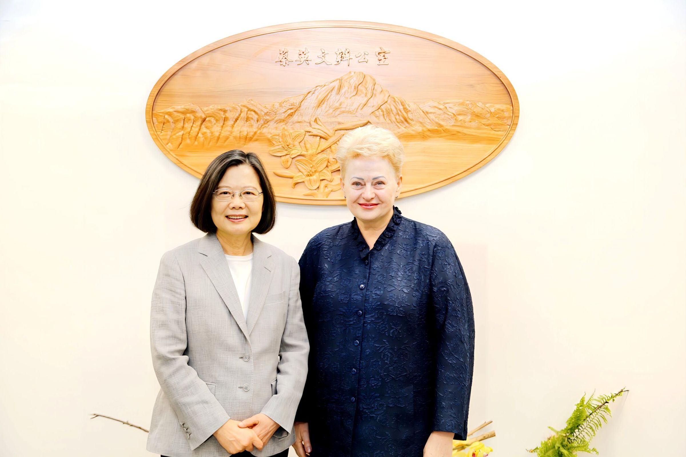 蔡英文卸任後,今日會見立陶宛前總統葛寶思凱德。(翻攝蔡英文X)