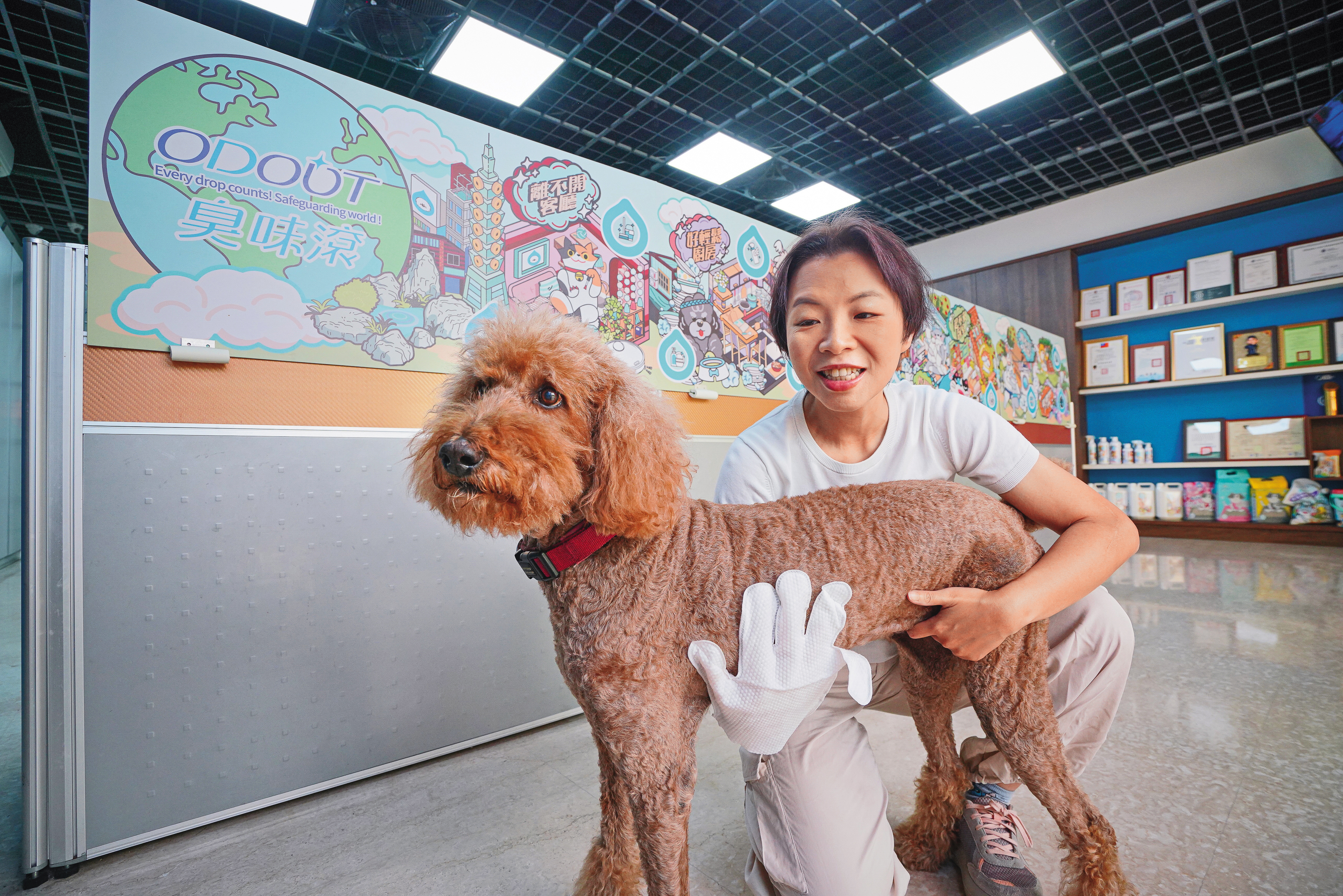即將開賣的寵物清潔手套，可邊幫毛孩擦澡邊SPA。抗癌中的13歲天天率先試用。