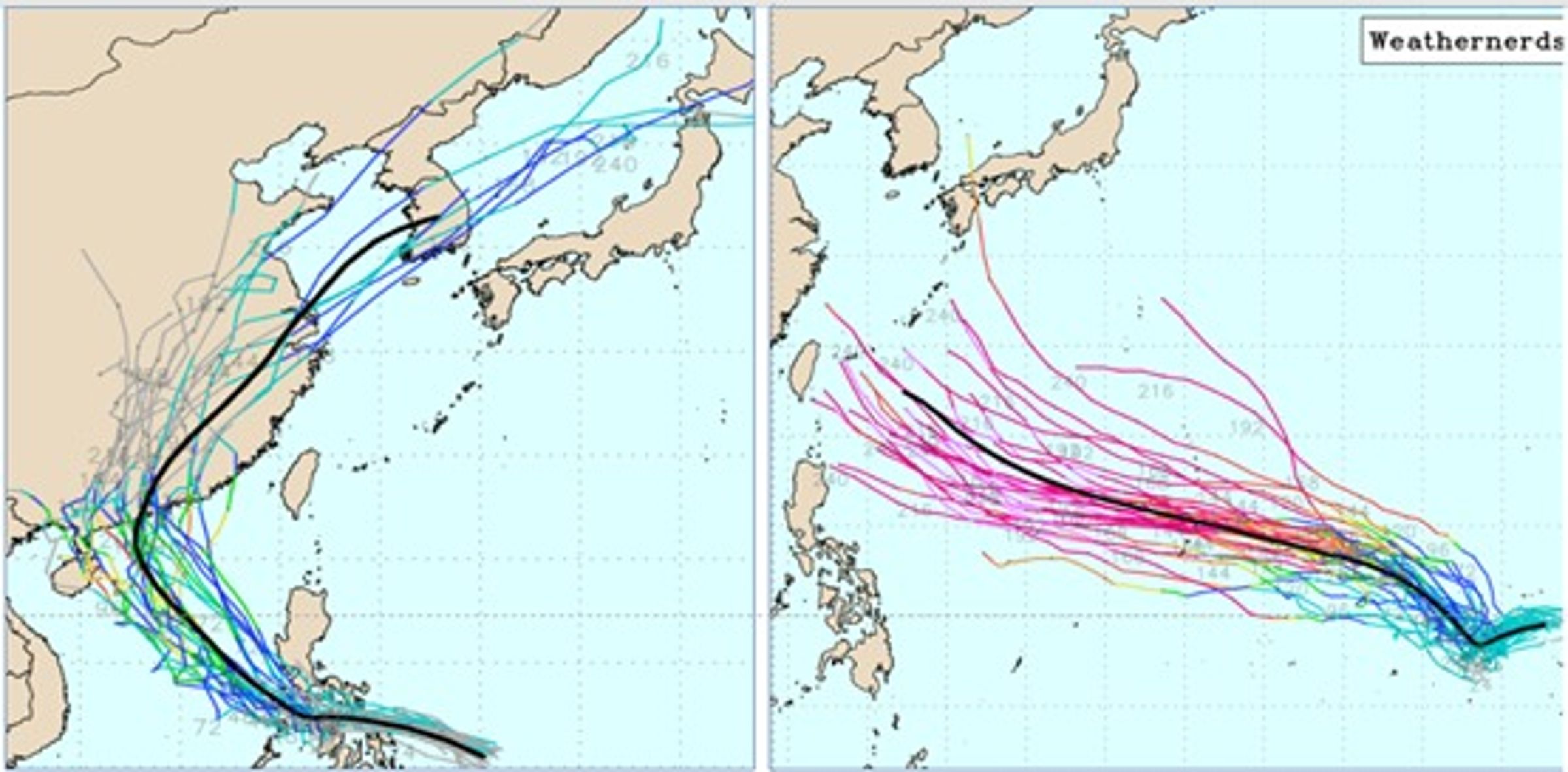 美國系集模式（GEFS）模擬圖顯示，關島東方（右）及菲律賓東方至南海一帶（左），各有熱帶擾動發展的跡象。（取自weathernerds）