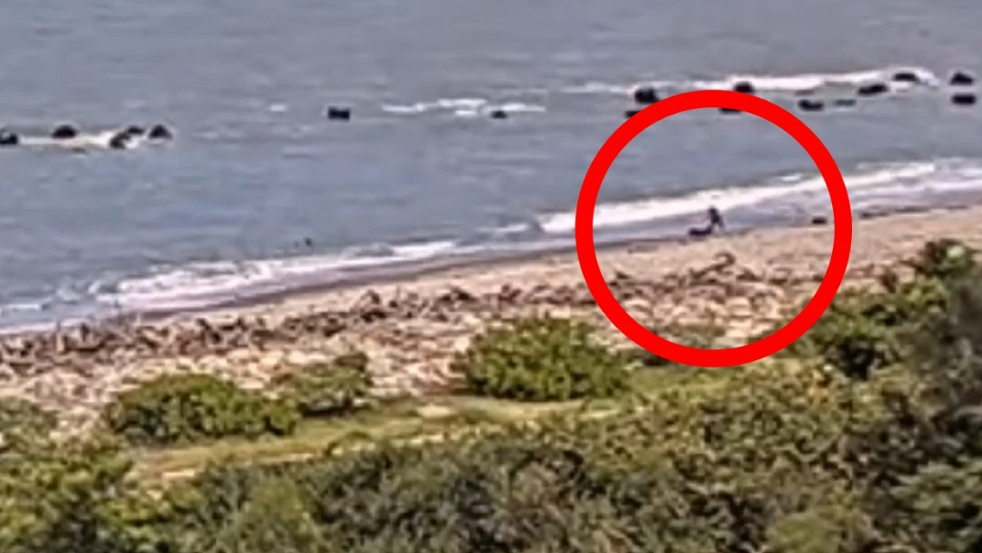 酒店小姐為家賺錢命喪花蓮！遭狠男海邊活活殺害，警方還原殘忍犯行。（翻攝畫面）