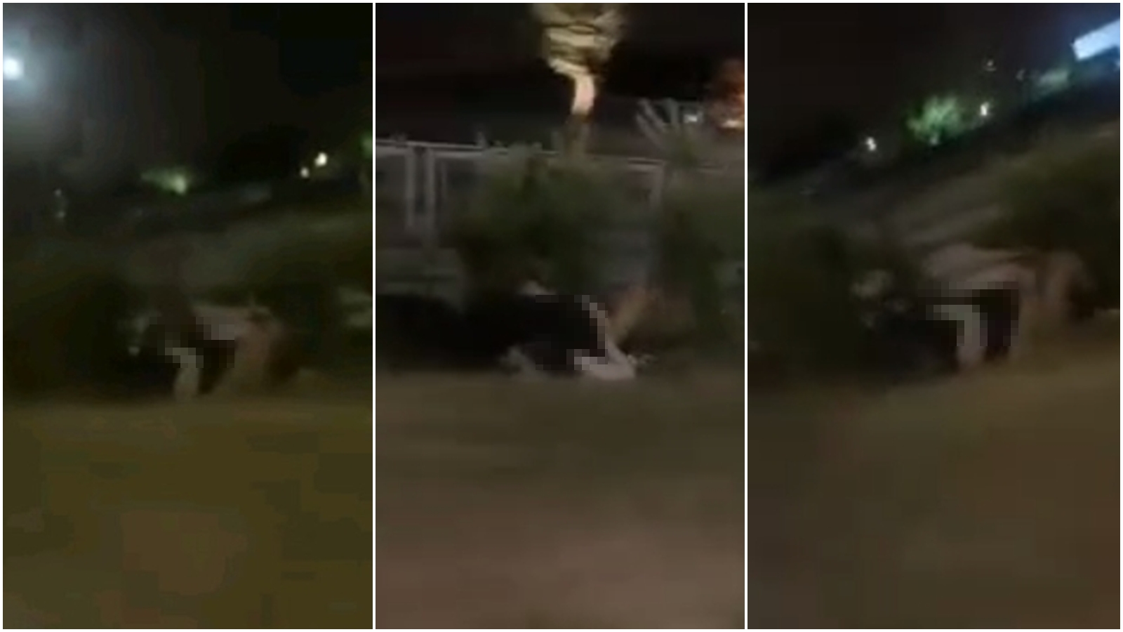 女網友元旦凌晨在台中某公園撞見「活春宮」畫面。（翻攝自爆料公社二社）