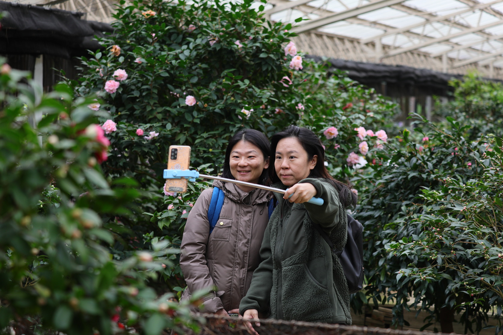 民眾趁著好天氣上山賞花拍照。