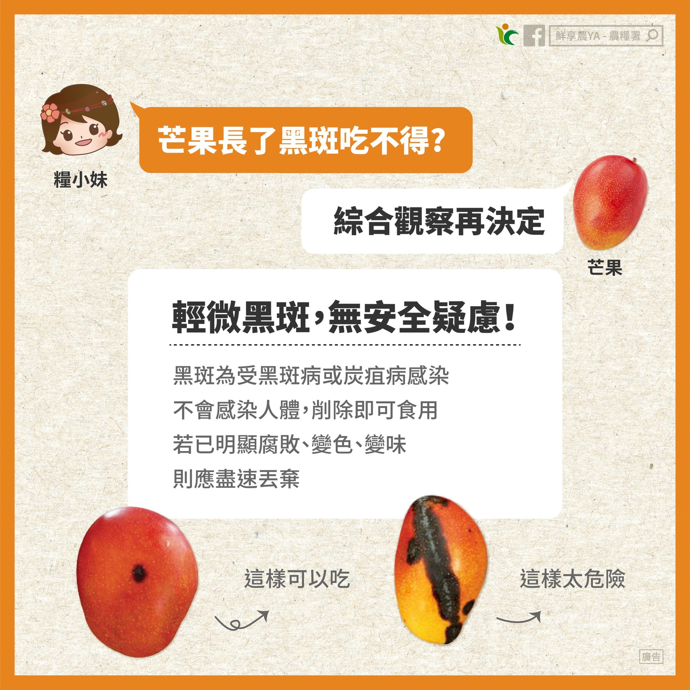 芒果炭疽病不會傳人,削除黑斑後果肉沒有腐敗變色仍可安心食用。(翻攝自鮮享農YA - 農糧署 臉書)
