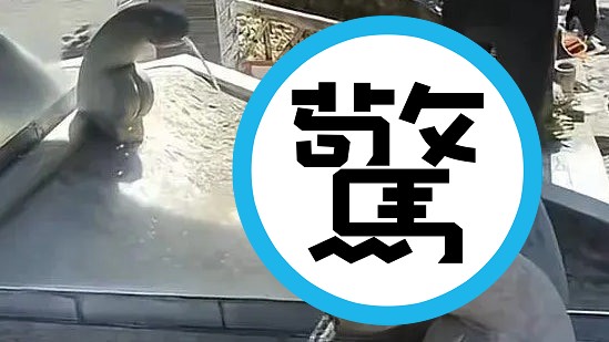 厲害了中國！風景區巨型水龍頭變「色色的形狀」，網友驚呆。（翻自《香港01》）