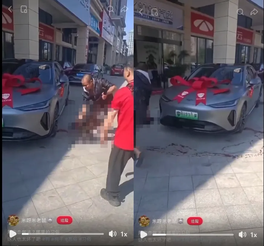 中國男子抓著一隻黑狗倒吊放血沿著新車繞行。(翻攝Threads畫面)