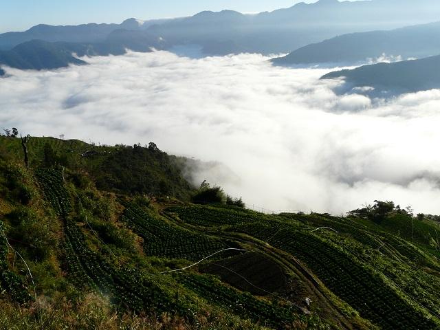 秋天沒楓、沒芒，要幹嘛？那就…讓我們看雲去！