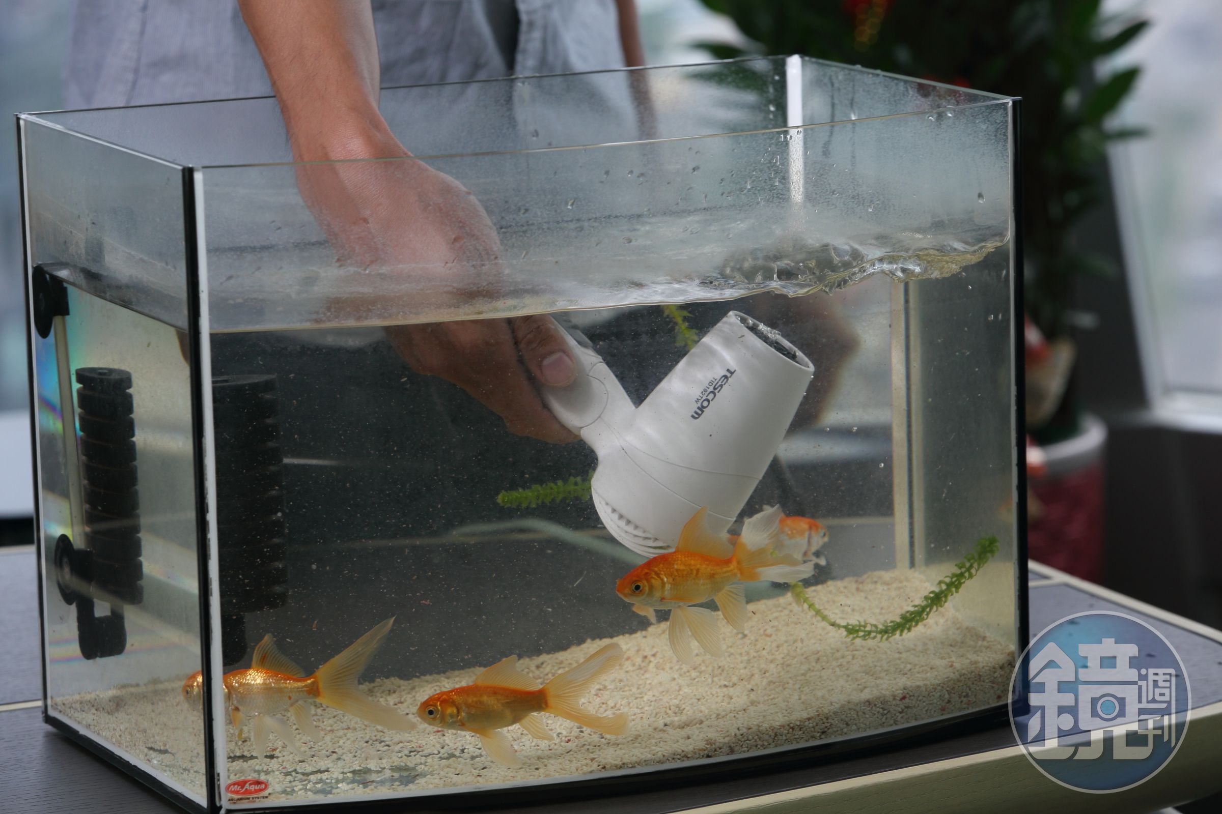 吹風機有了奈米防水鍍膜保護，即使泡進魚缸也能正常運轉。（危險動作，請勿模仿）