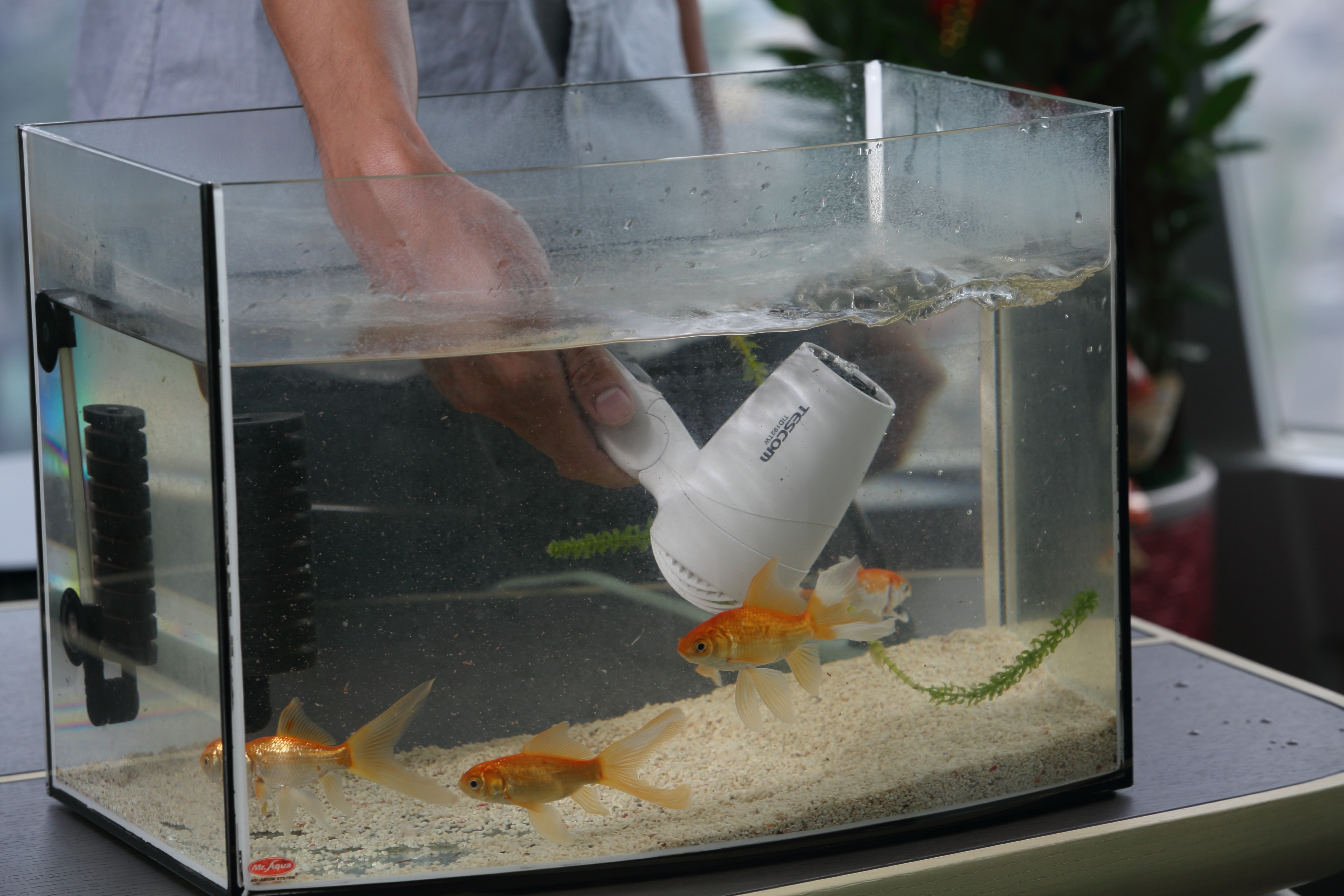 吹風機有了奈米防水鍍膜保護，即使泡進魚缸也能正常運轉。（危險動作，請勿模仿）