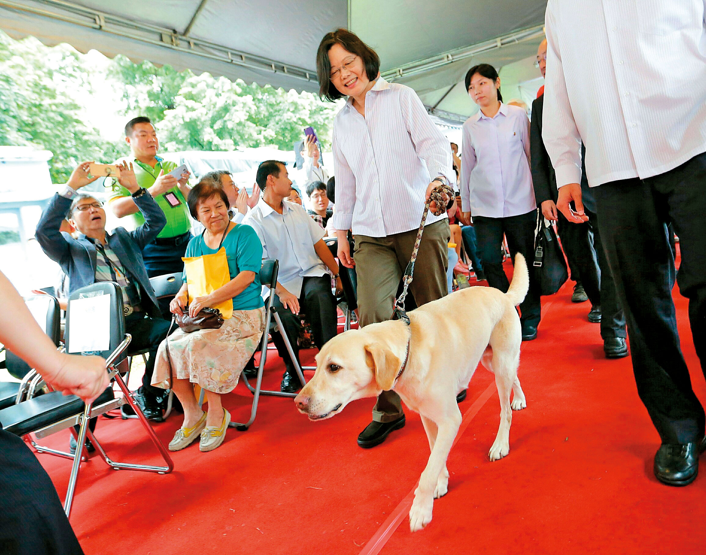 憂貓狗大戰　蔡英文一邊一國分層養毛孩