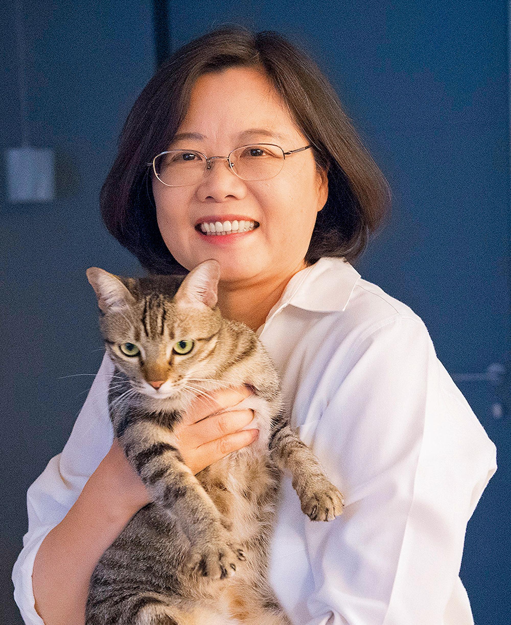 蔡想想是蔡英文的愛貓,但因牠脾氣壞,官邸毛小孩們之間要如何和平共處,讓蔡英文傷透腦筋。(取自蔡英文臉書)