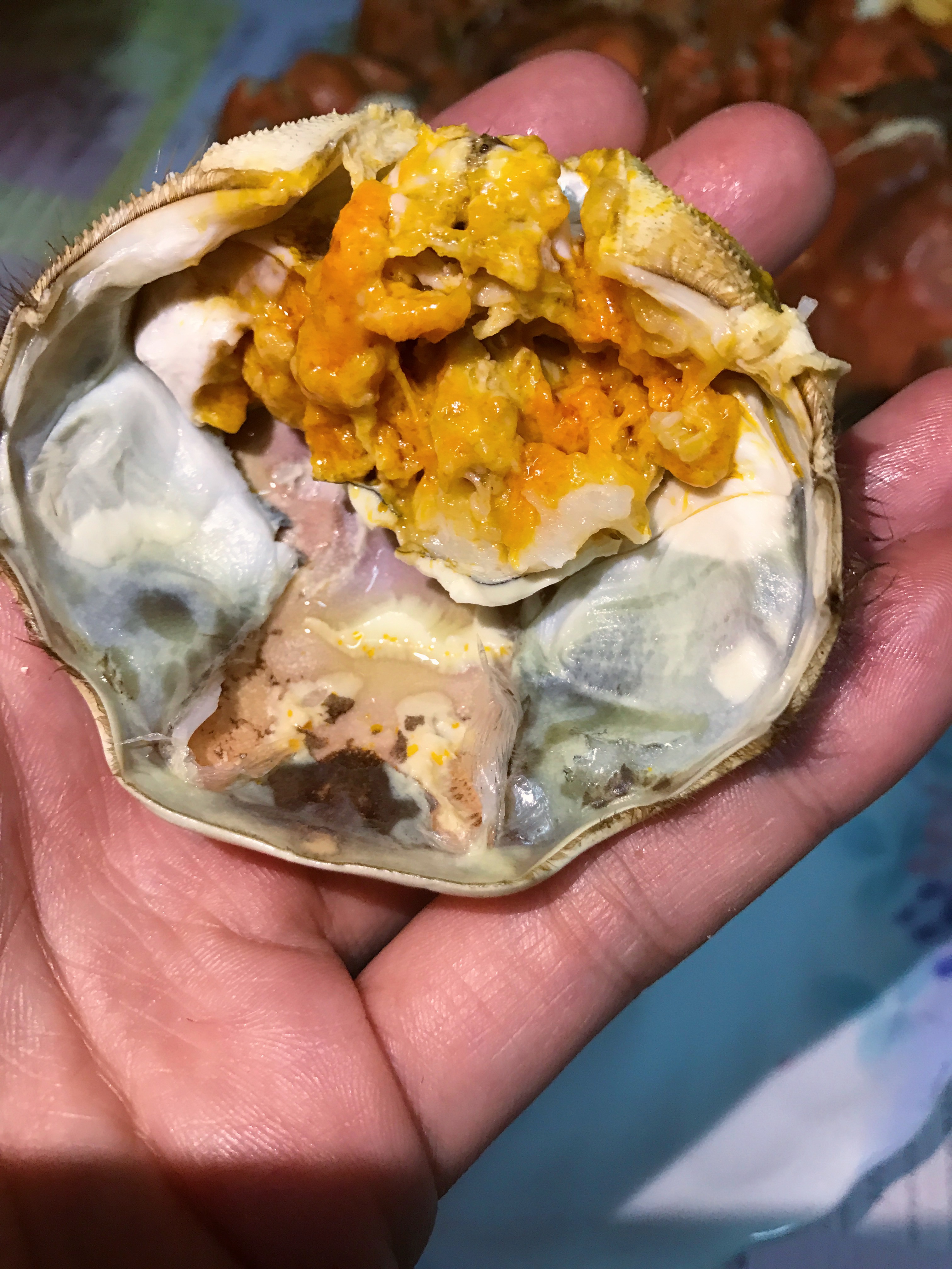 蟹黃蟹膏，真的不是小朋友吃得懂的味道。