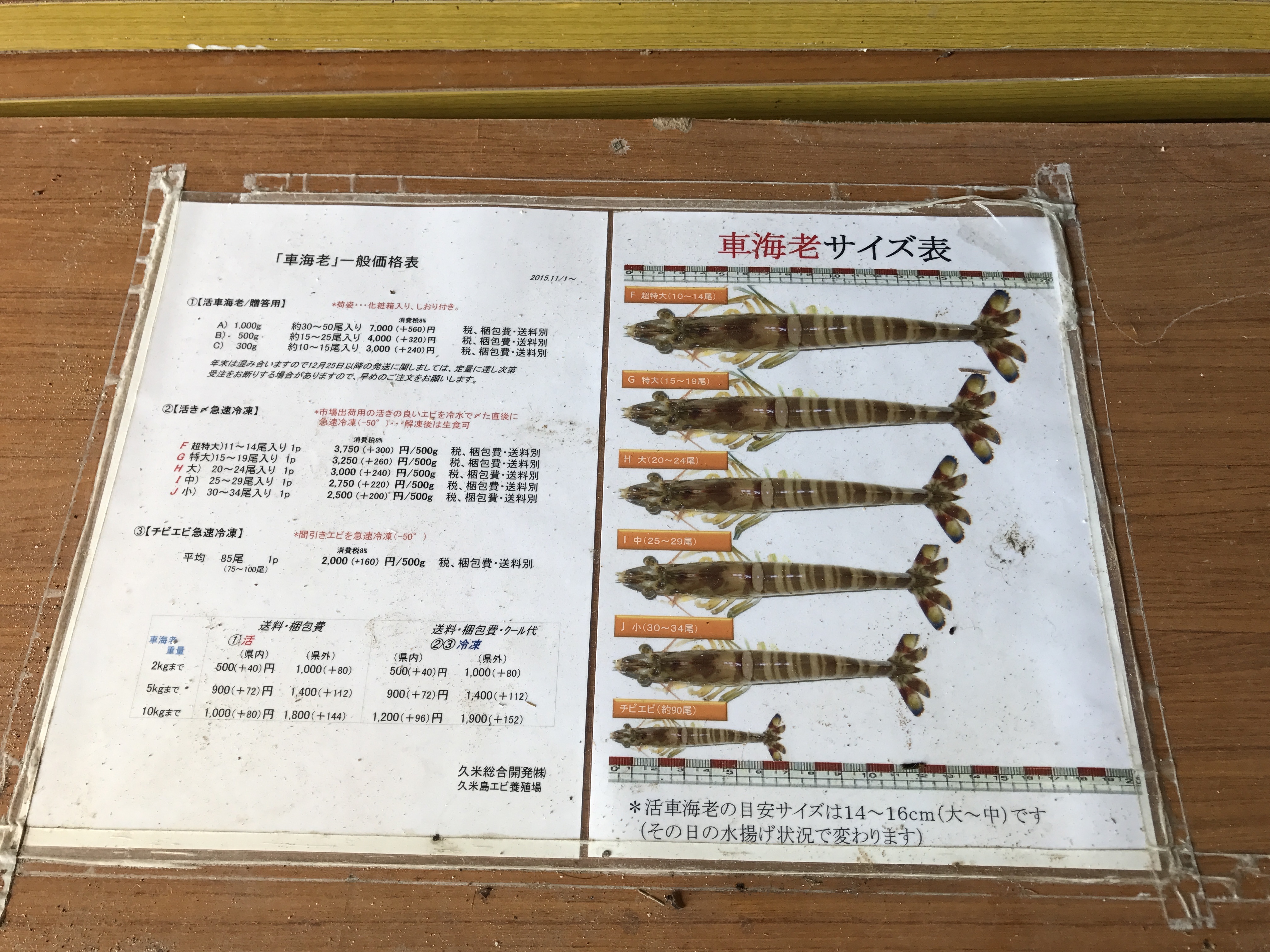 從稚蝦養到可出貨的成蝦大概須時半年，淘汰的小蝦也不會浪費，出貨給天婦羅店做炸麵餅。