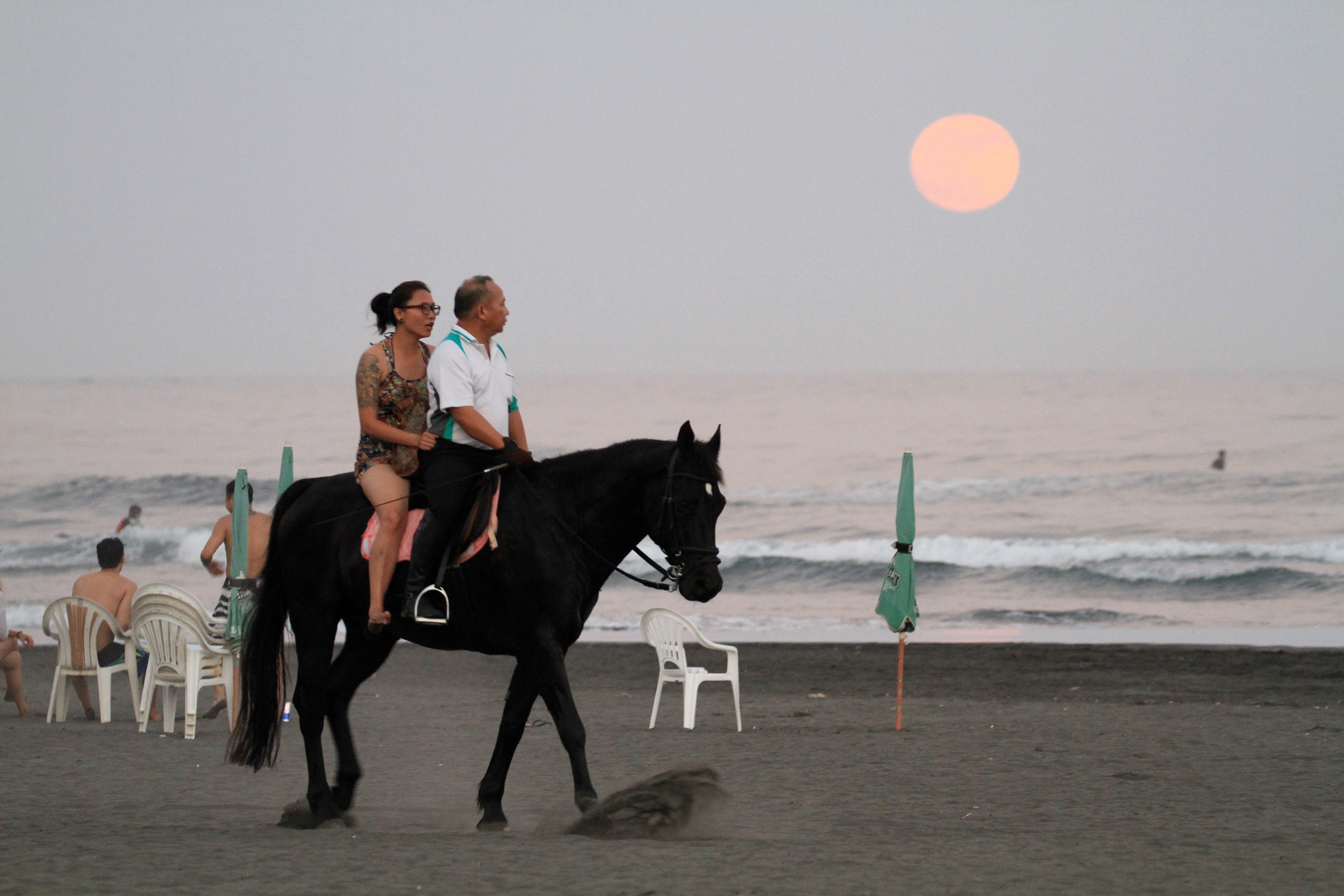 在一輪明月高掛天空下，騎馬漫步海邊別有一番詩意。