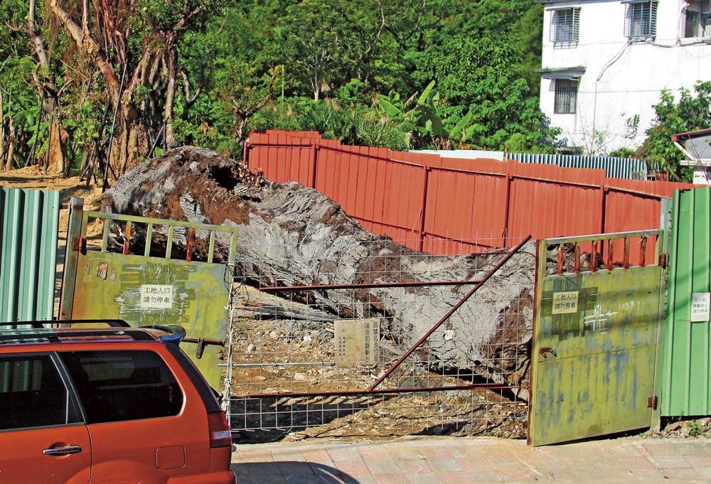 板橋挖出史前巨木　新光集團運木柵偷藏