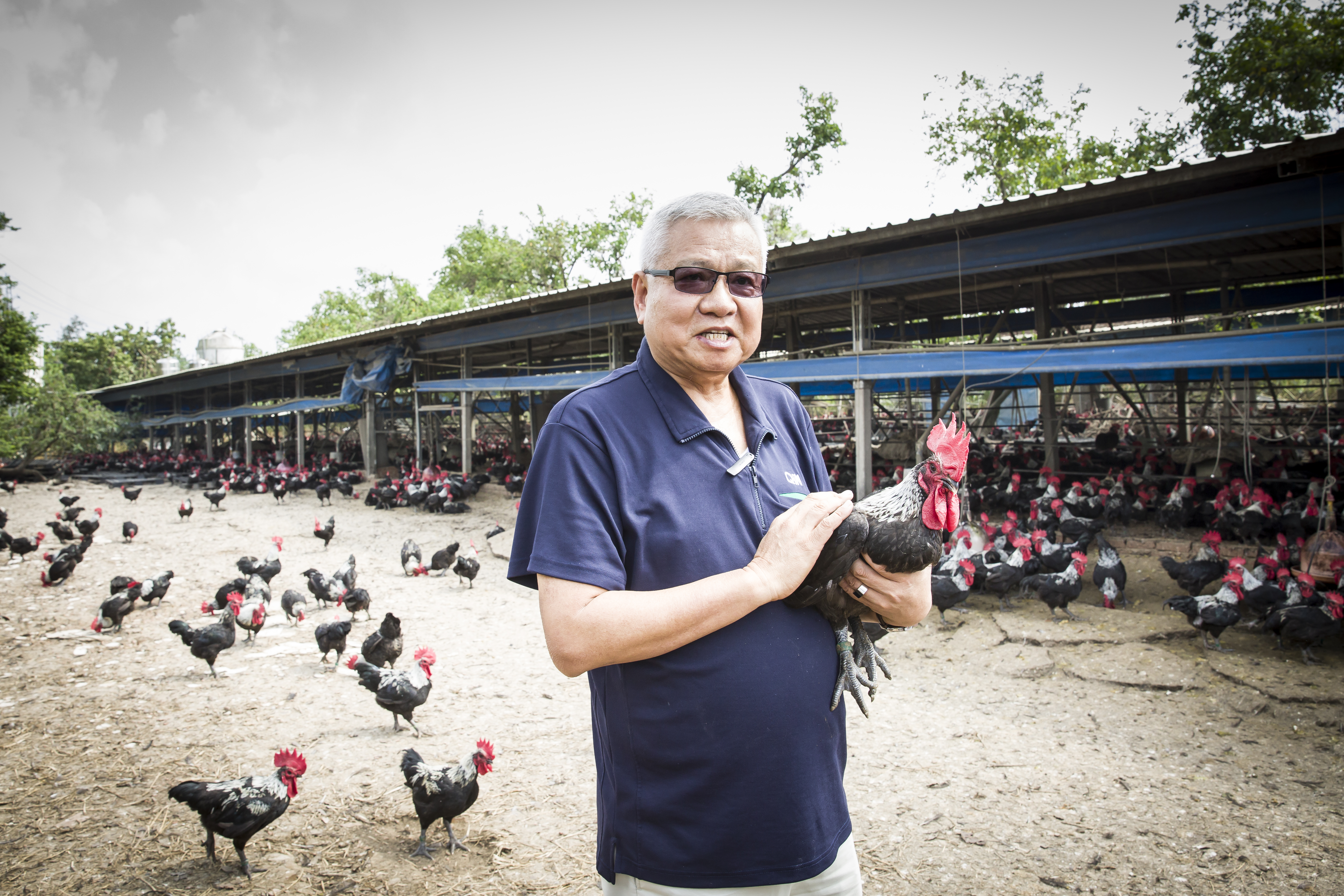 【頭家開講】愛雞40年　麥當勞不能沒有的老闆