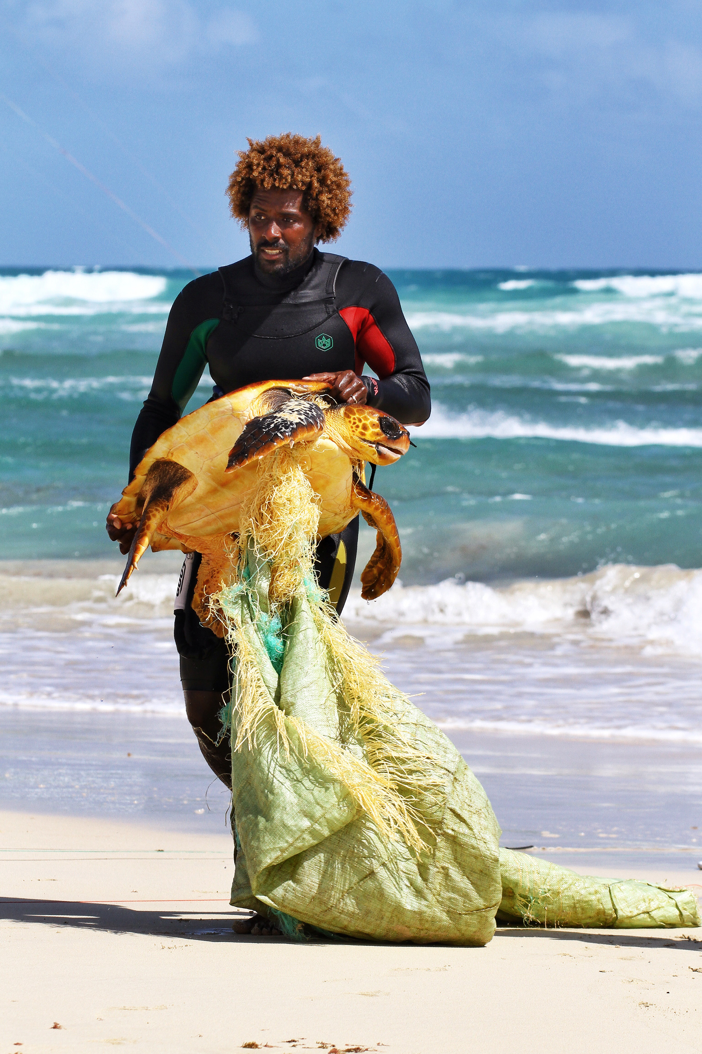 非洲西岸維德角（Cape Verde）薩爾島（Sal Island）海灘，一名衝浪好手把一隻被塑料纏住的海龜救上岸。海龜被發現時，無法自由呼吸游泳，痛苦掙扎。（東方IC）