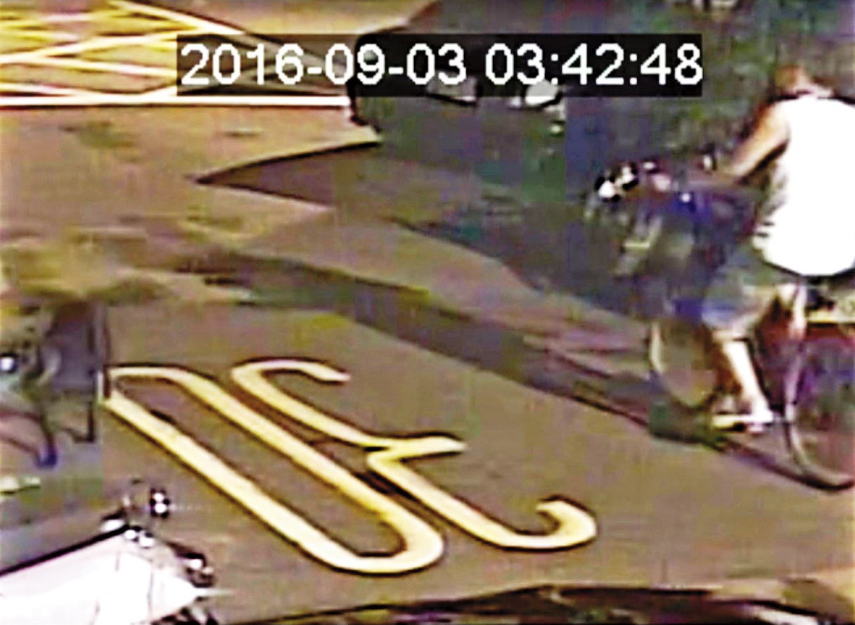 畫面中騎車的陳阿伯就是被誣陷成縱狗咬貓的嫌犯，他表示犬隻攻擊街貓時，他根本來不及阻止。（翻攝畫面）