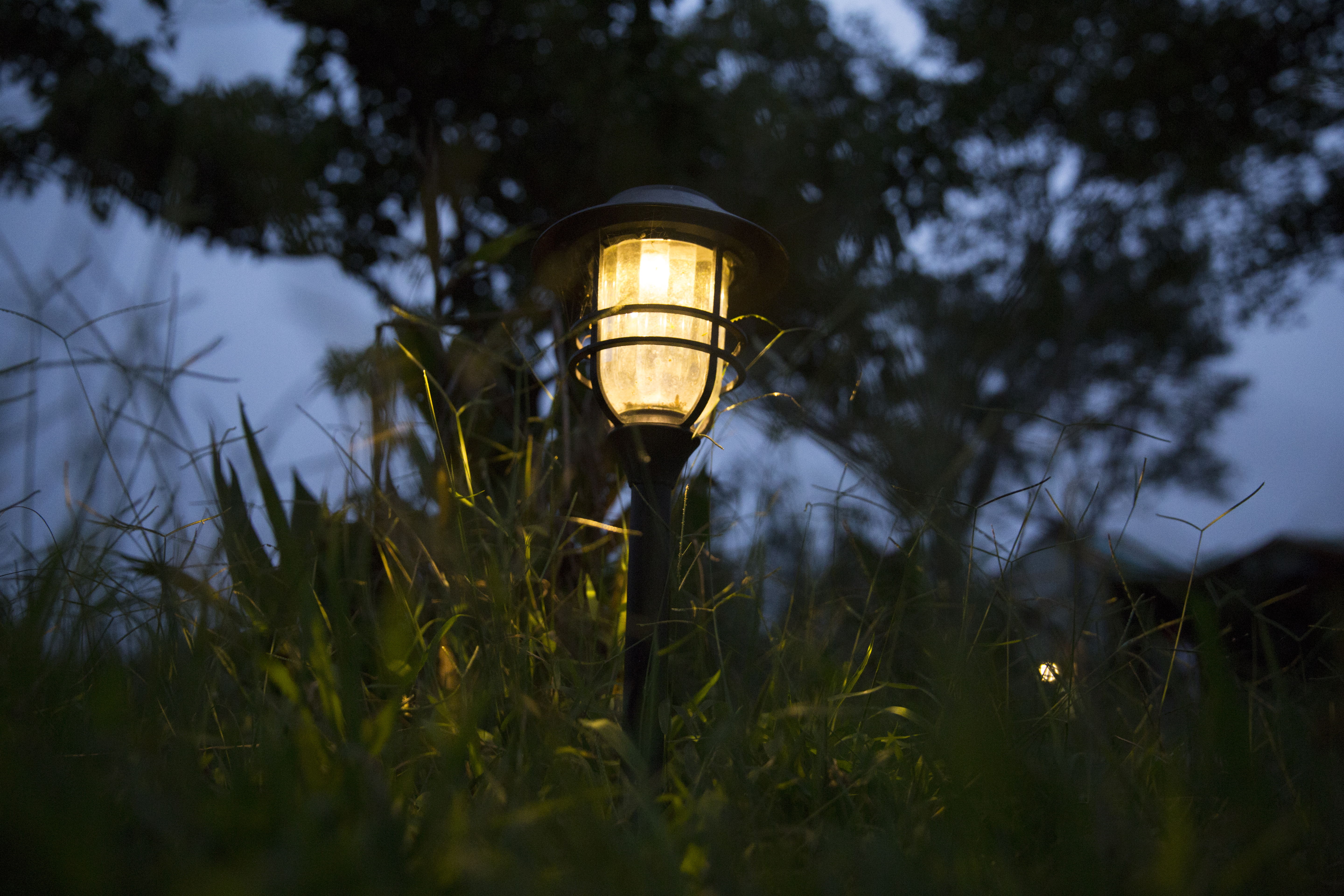 【獵人回家番外篇】三個黑暗部落