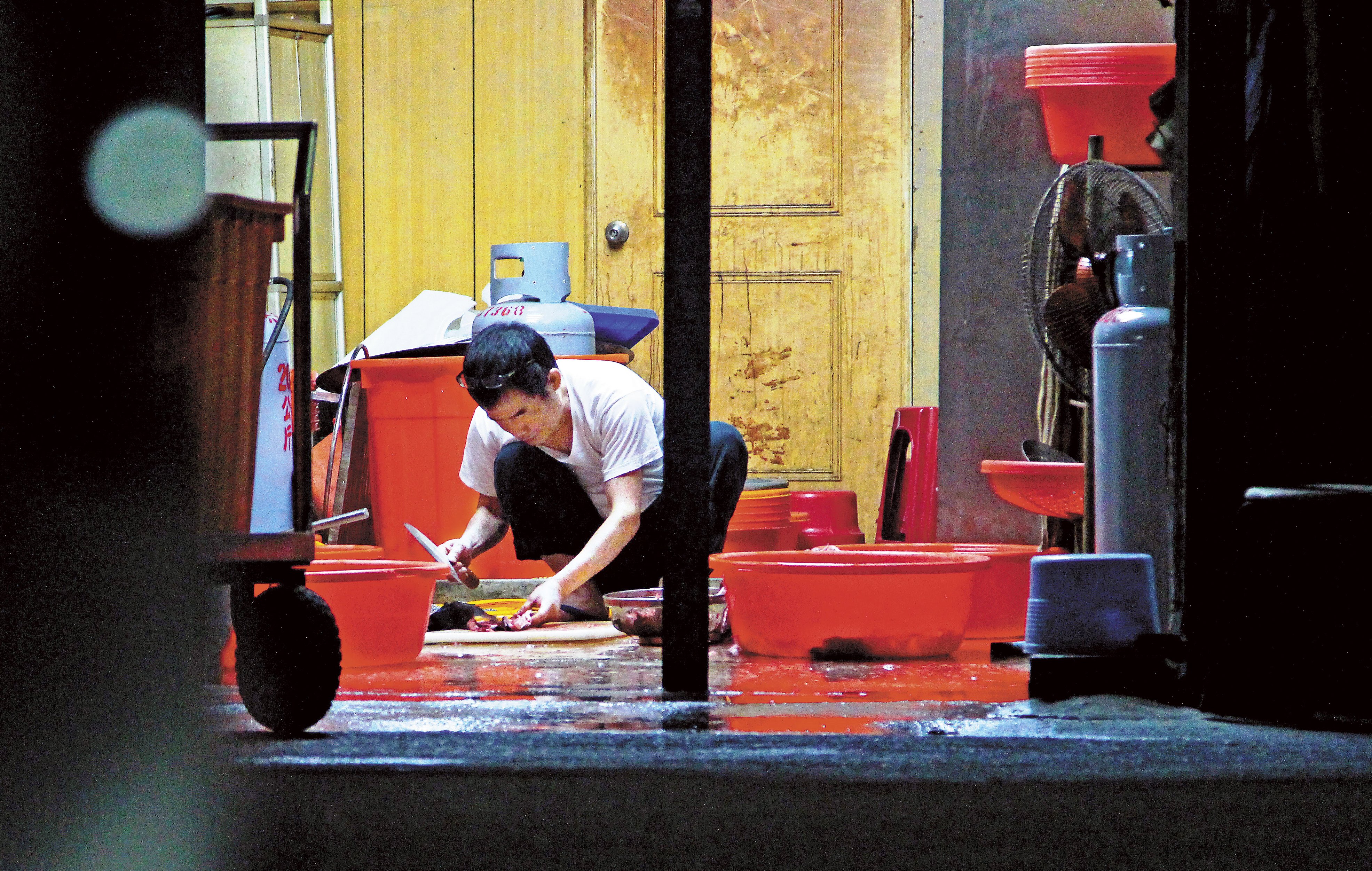 生菌數超標22倍　鯊魚烟名店地板料理直擊