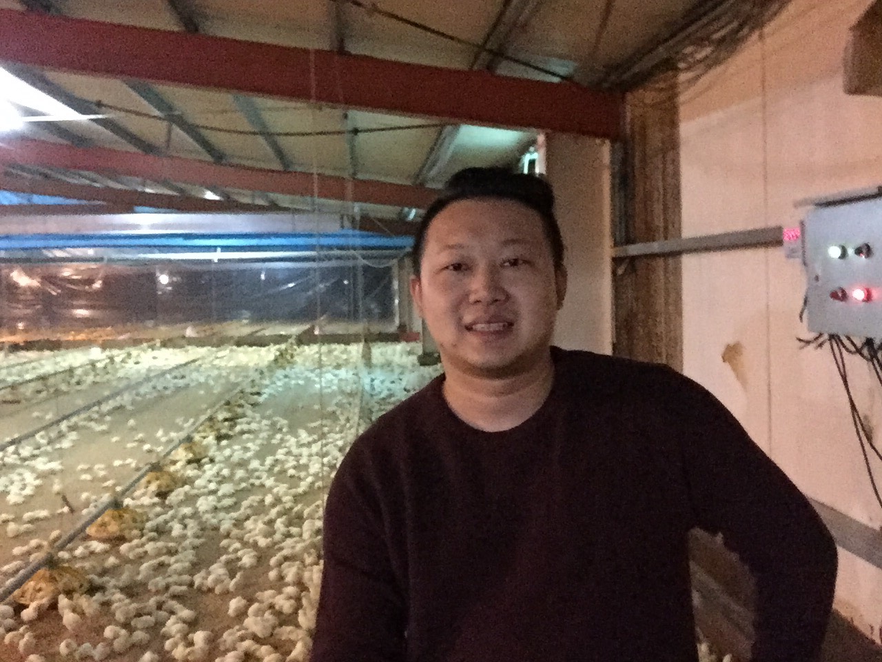 一場意外帶走了雙親　他19歲扛起養雞場年收5千萬