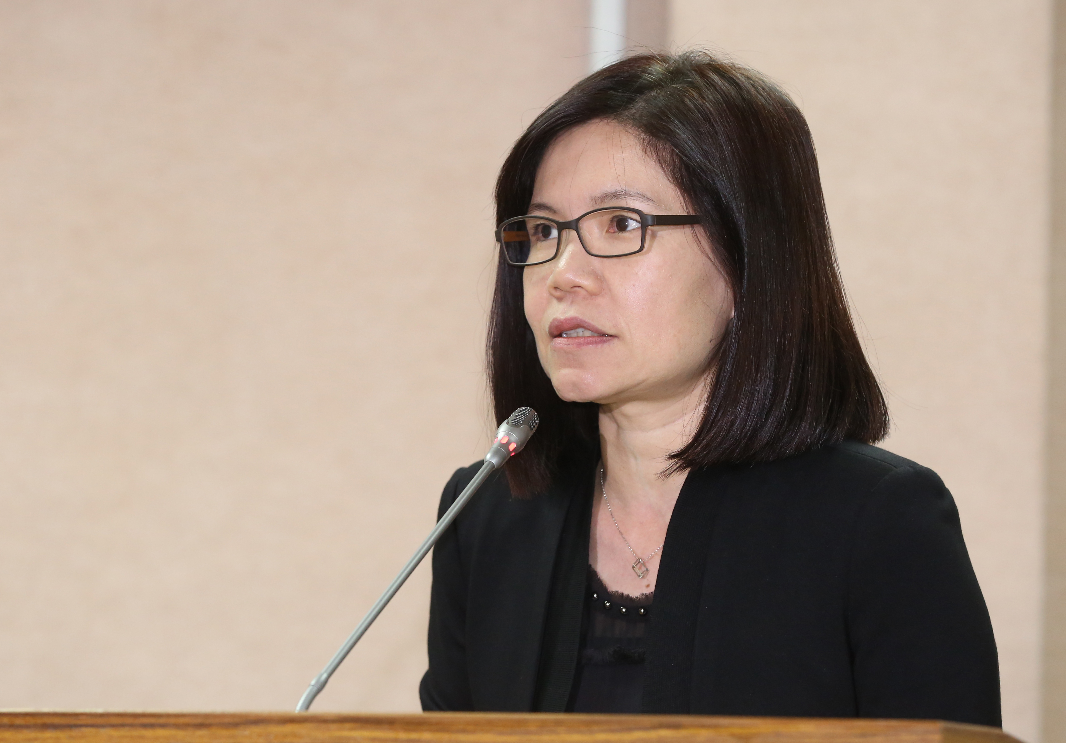 世新大學性別研究所教授陳宜倩認為，德國伴侶法目前在德國有很多爭議，並不適用於台灣。
