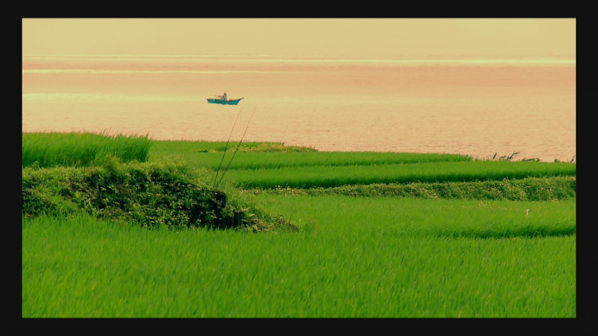 【散文】冒險與浪漫　廖鴻基