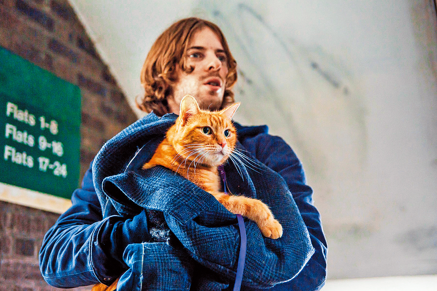 【影評】《遇見街貓BOB》　天降邂逅，事在人為　