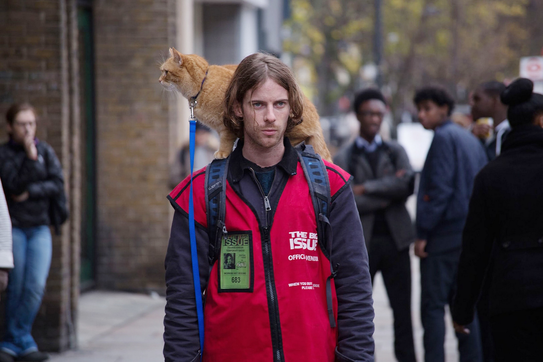 【本週新片】最萌街貓BOB「自己演自己」