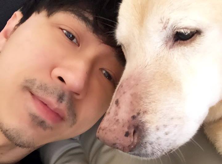 15年家人「小High」過世　光良慟沒見愛犬最後一面