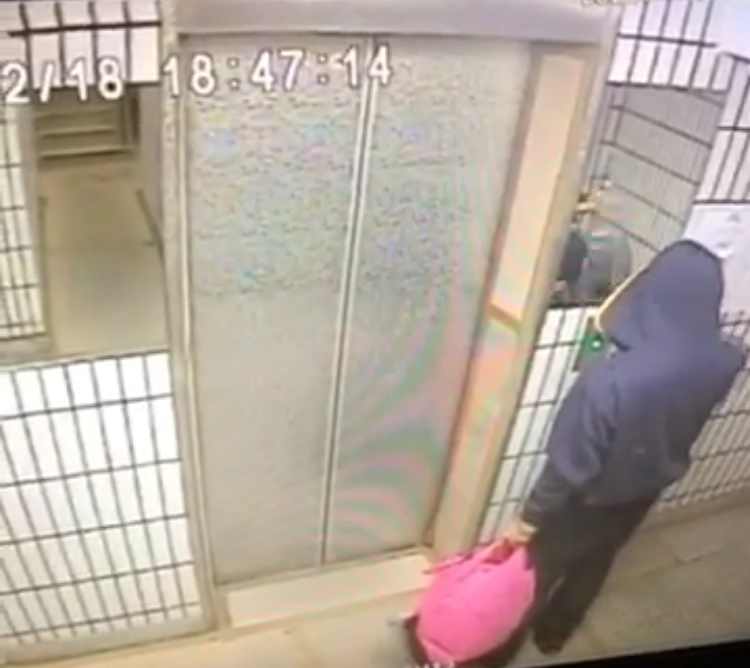 【獨家】江蕙弟遭襲　屋內交談20分鐘　警研判預謀犯案