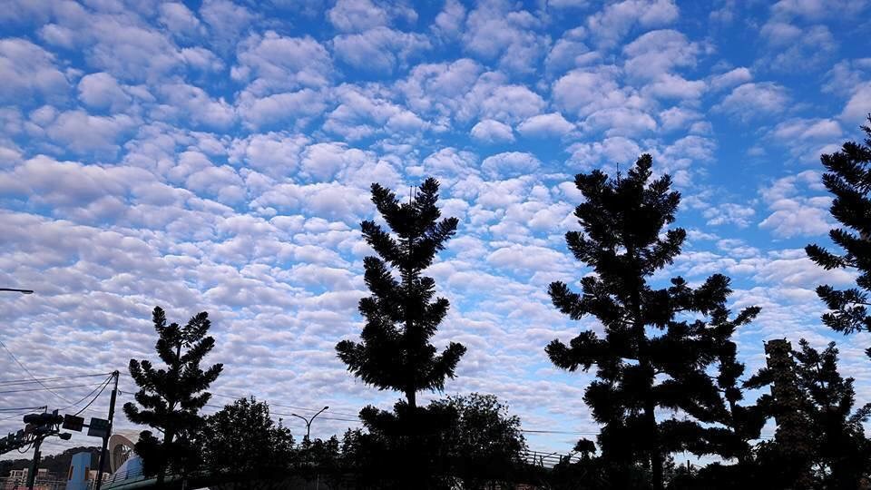 趕快抬頭看！朵朵棉花糖雲好療癒