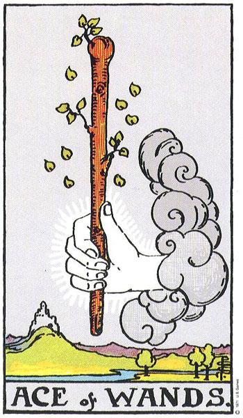 權杖王牌 Ace of Wands。圖翻攝自Rider-Waite Tarot by A.E. Waite & Pamela Colman-Smith