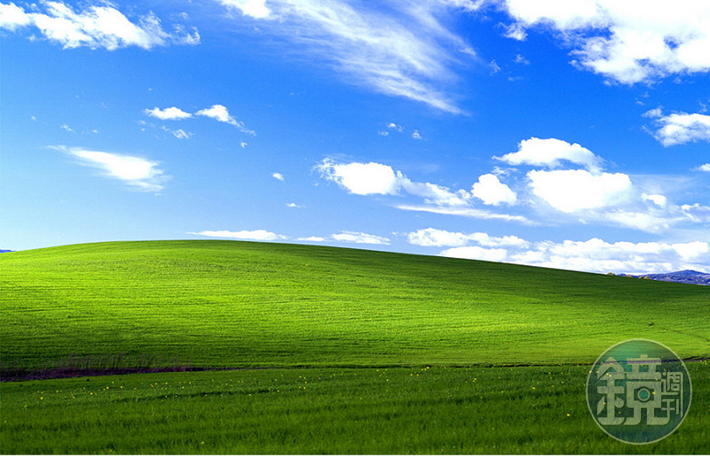 WindowsXP經典桌布「Bliss」，這一幕風景在台灣有山寨版。（翻攝自網路）