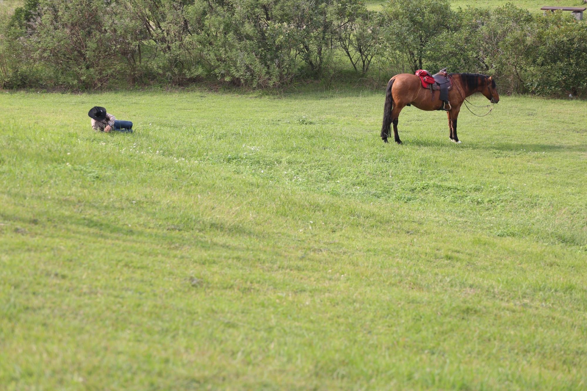 騎士、駿馬、草原，是八里文化公園的動人畫面。