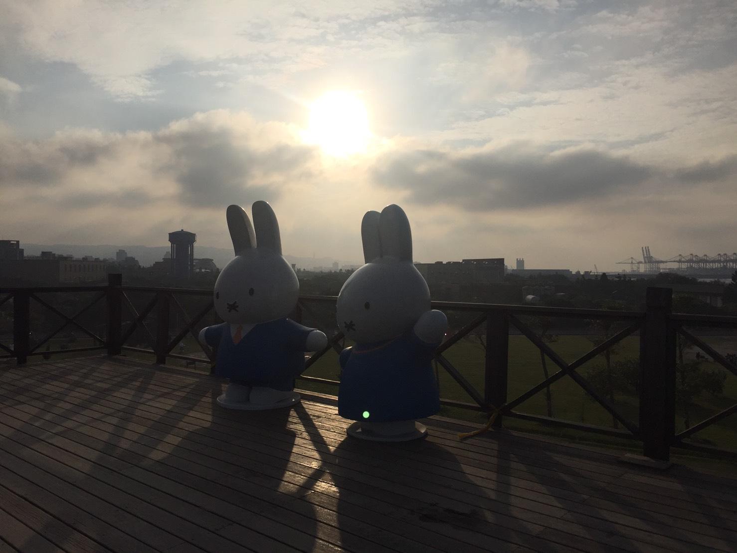 米飛兔站在展望台看夕陽，萌景吸睛。
