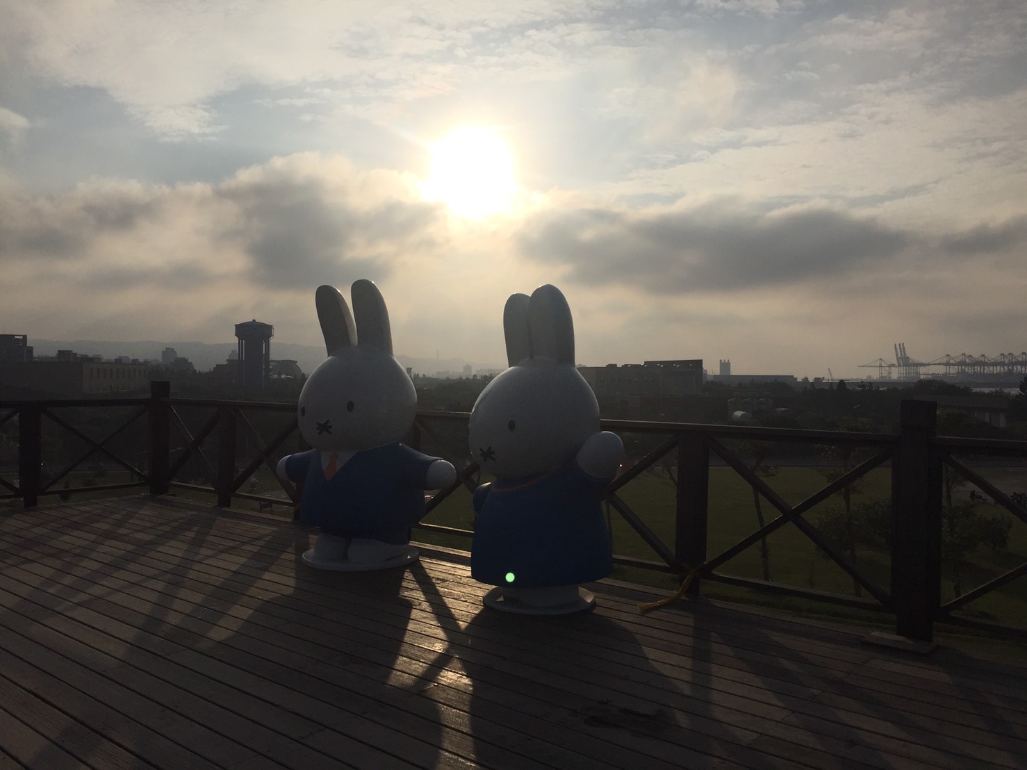 米飛兔站在展望台看夕陽，萌景吸睛。