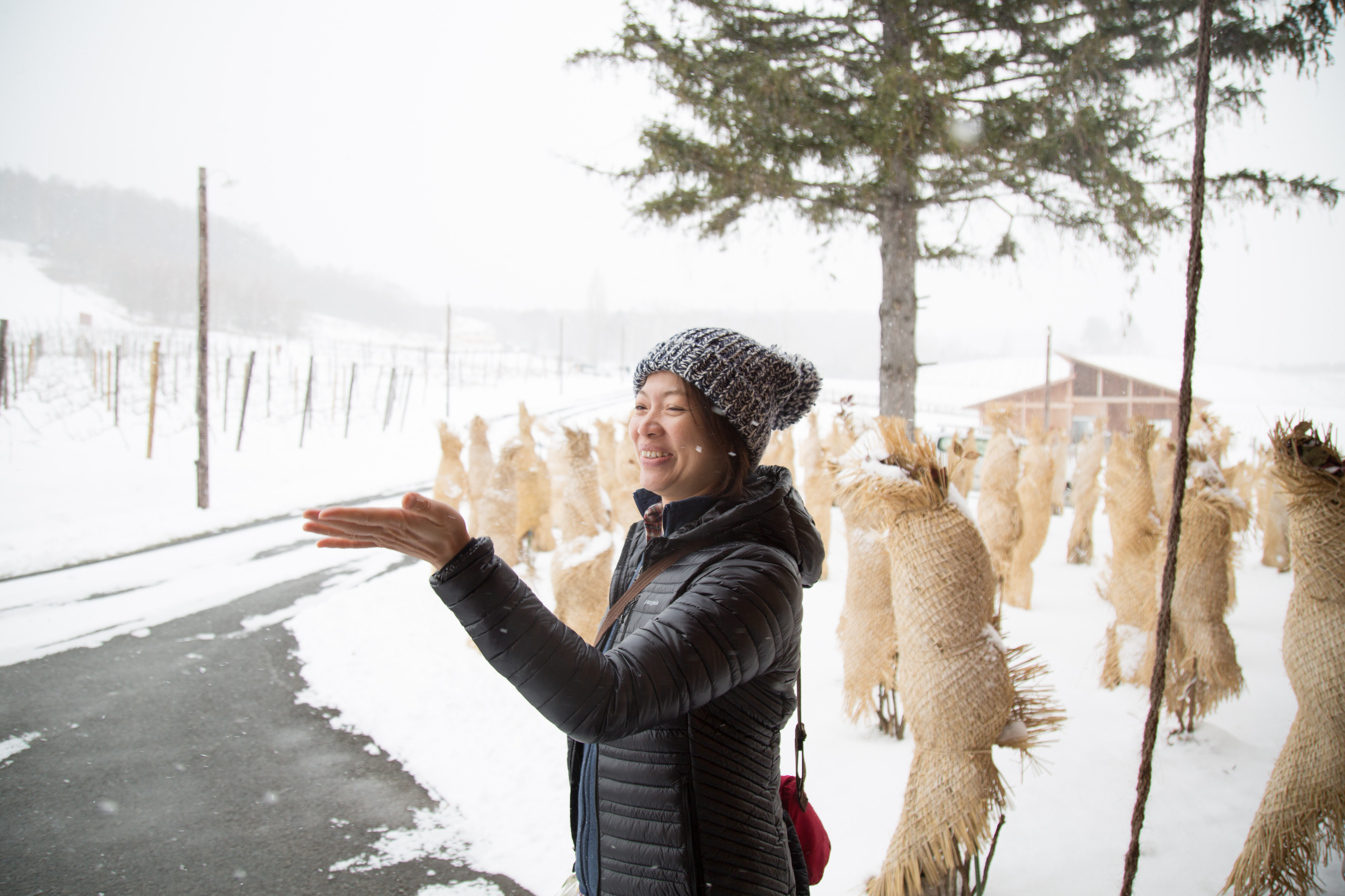 【頭家開講】走出猛爆性肝炎威脅　薰衣草森林創辦人夢想輸出海外
