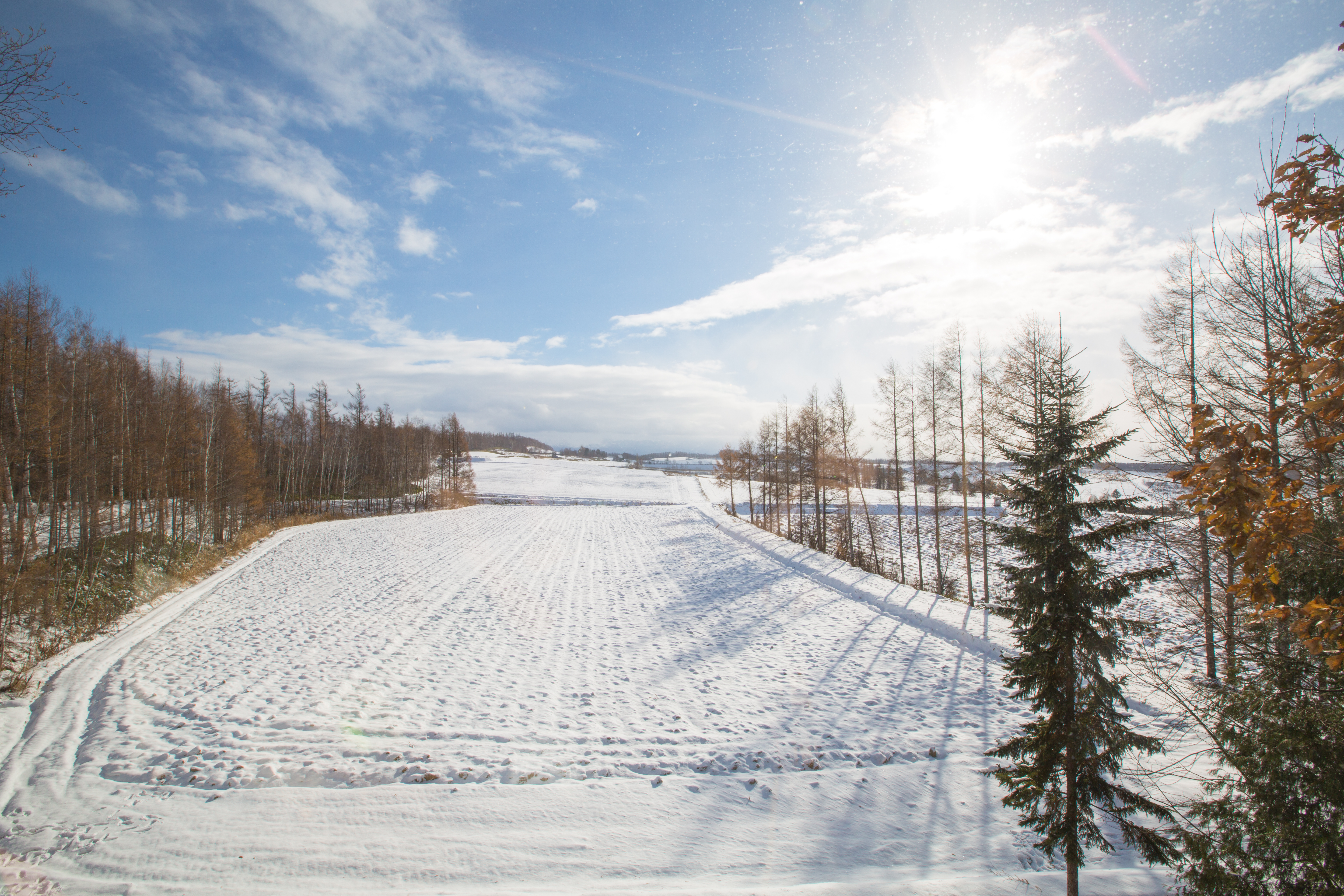 【緩慢民宿遊記】被興航放鳥北海道　從此染上美瑛病