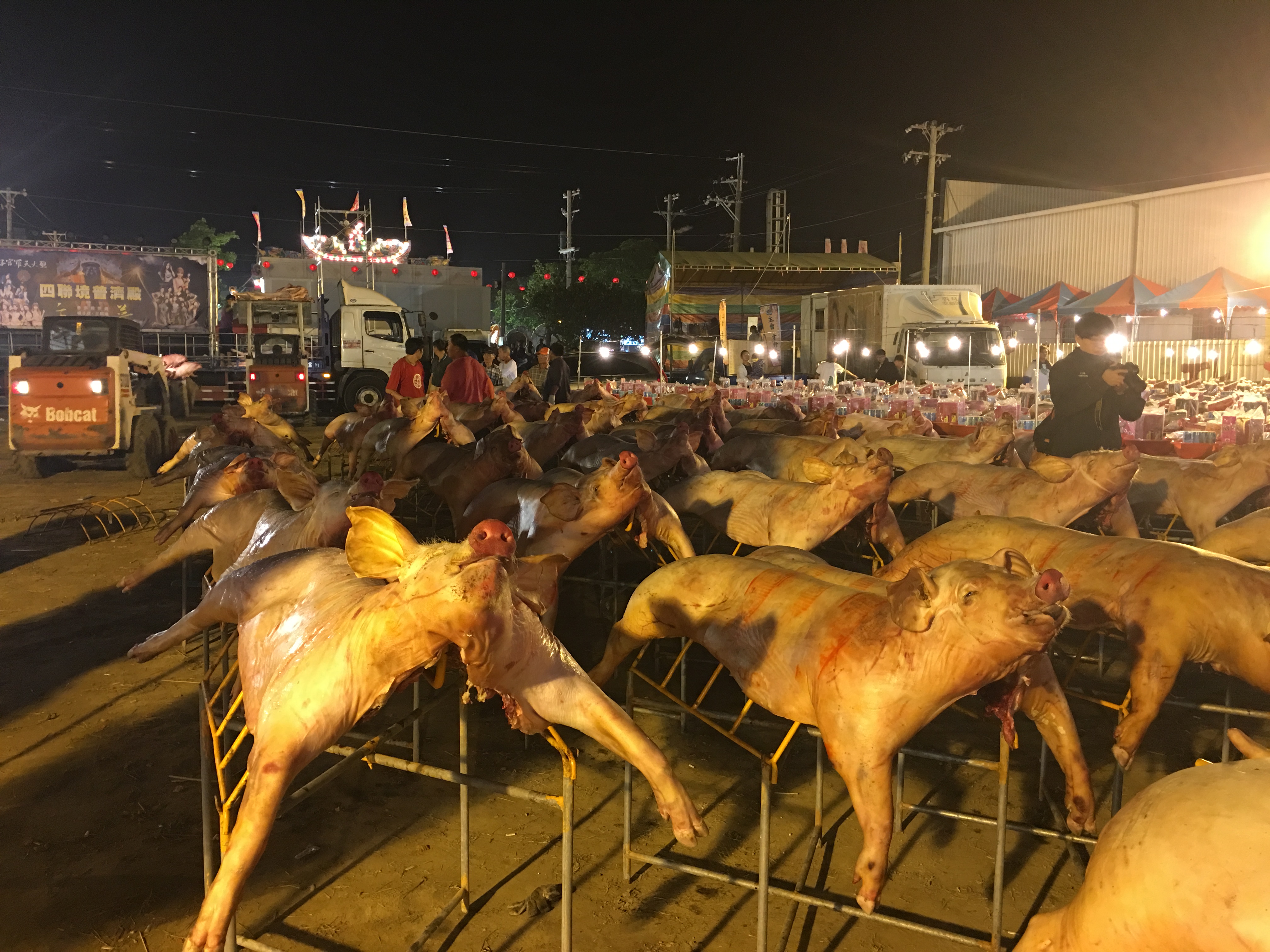 噁爆！人都不吃給神吃　祭神用「黑青」神豬