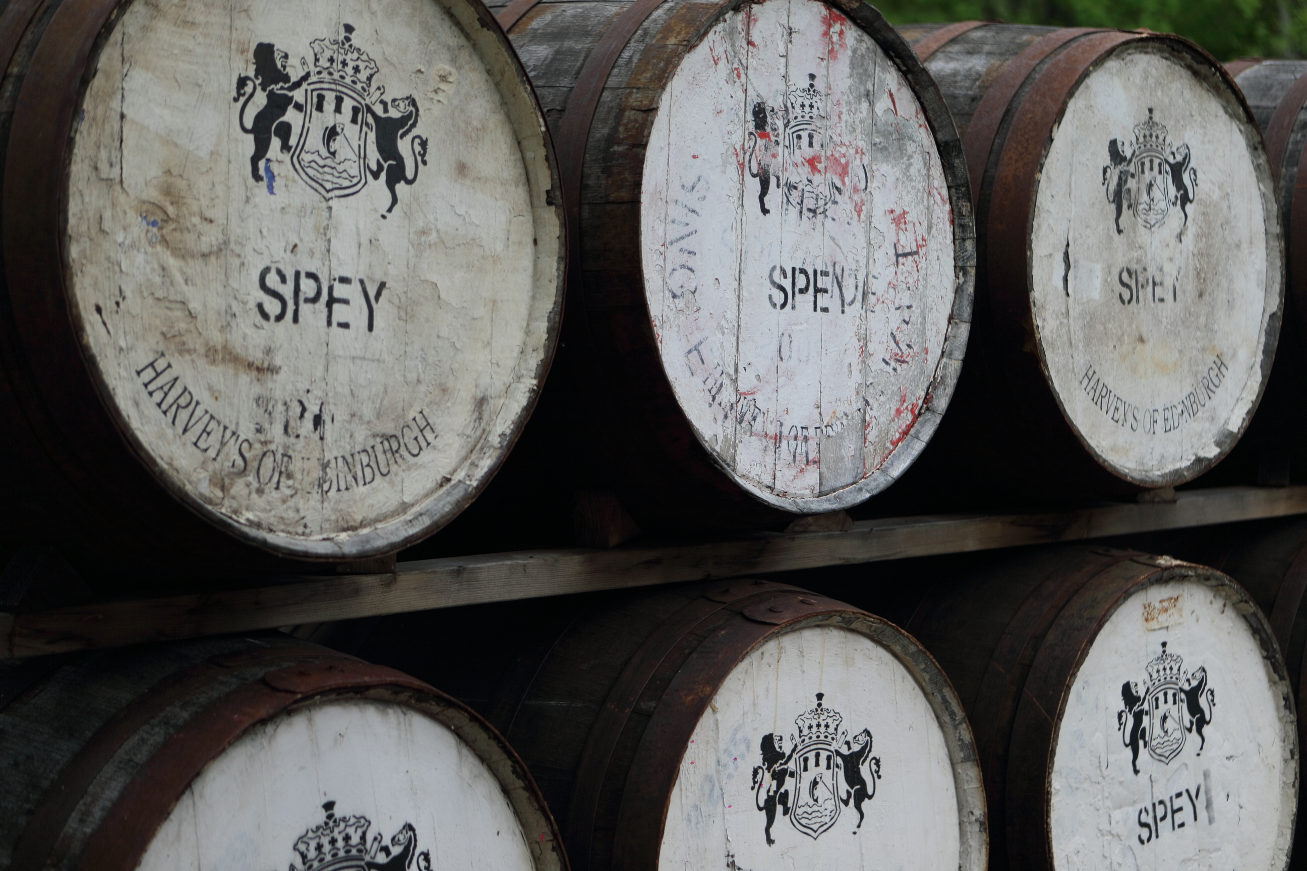 【另類理財】買股不如買酒！ 單一桶單一純麥威士忌3年甜美慶收割