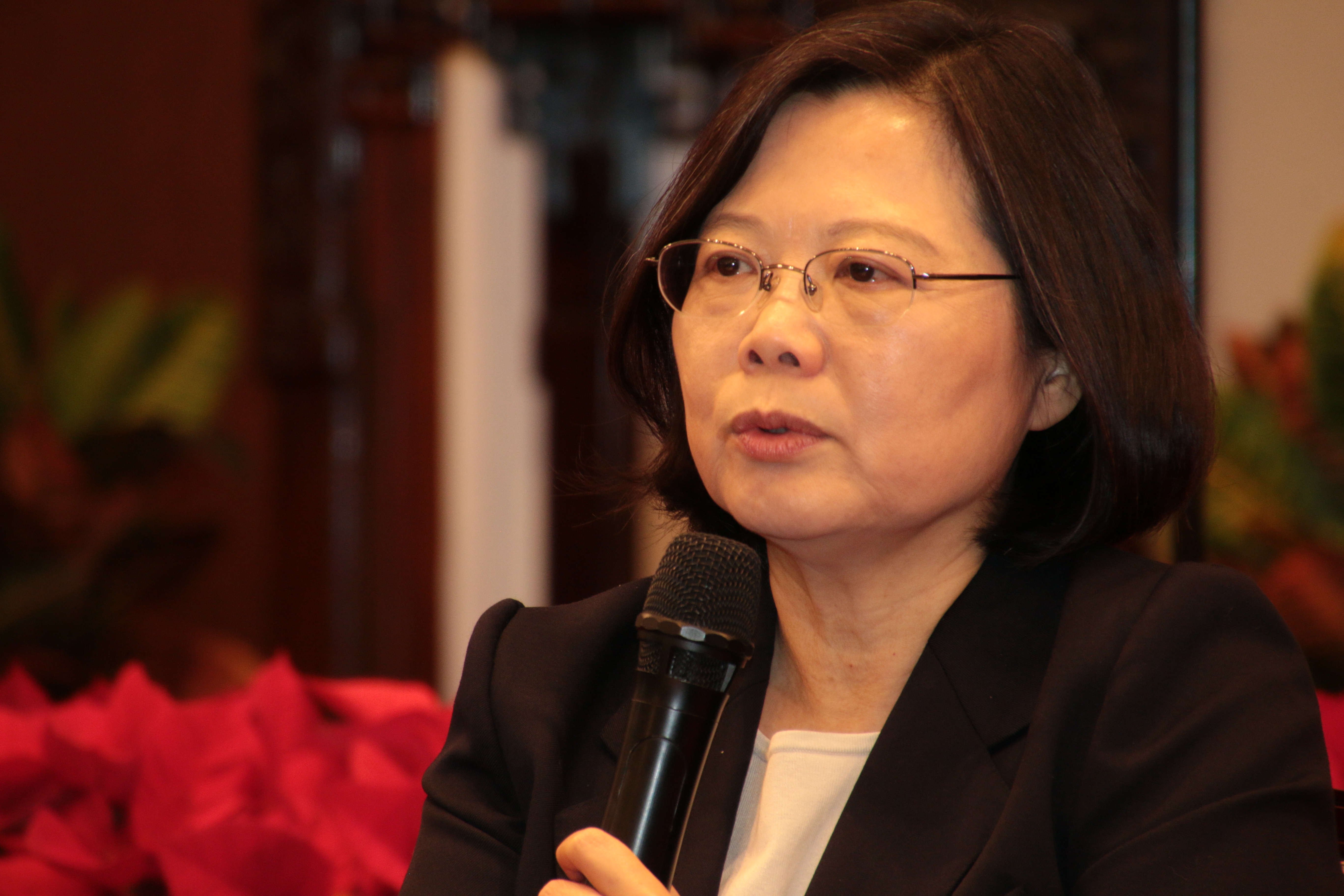 司改國是會議代表  小英總統姪子出線