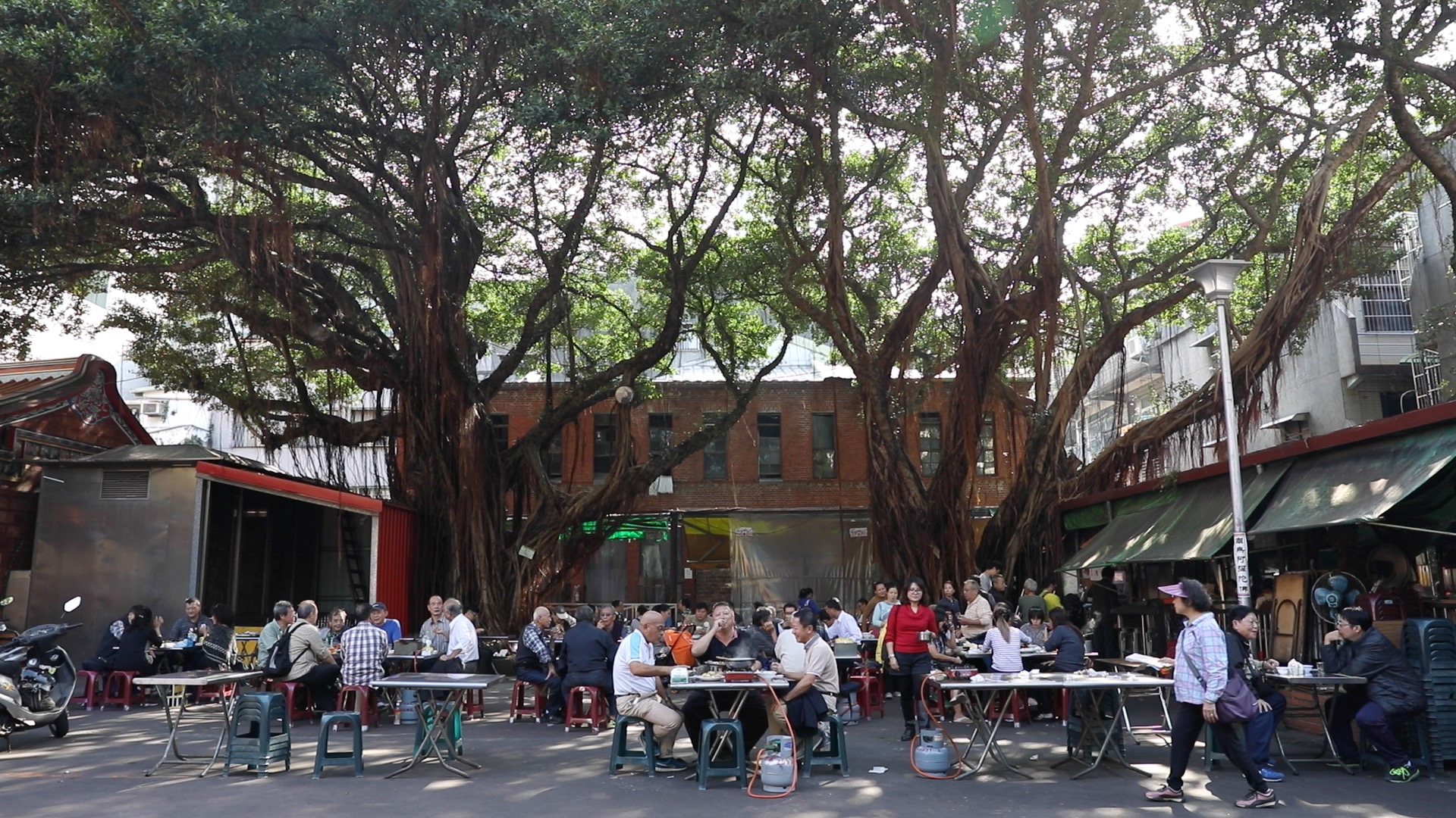 在榕樹下用餐，格外愜意。