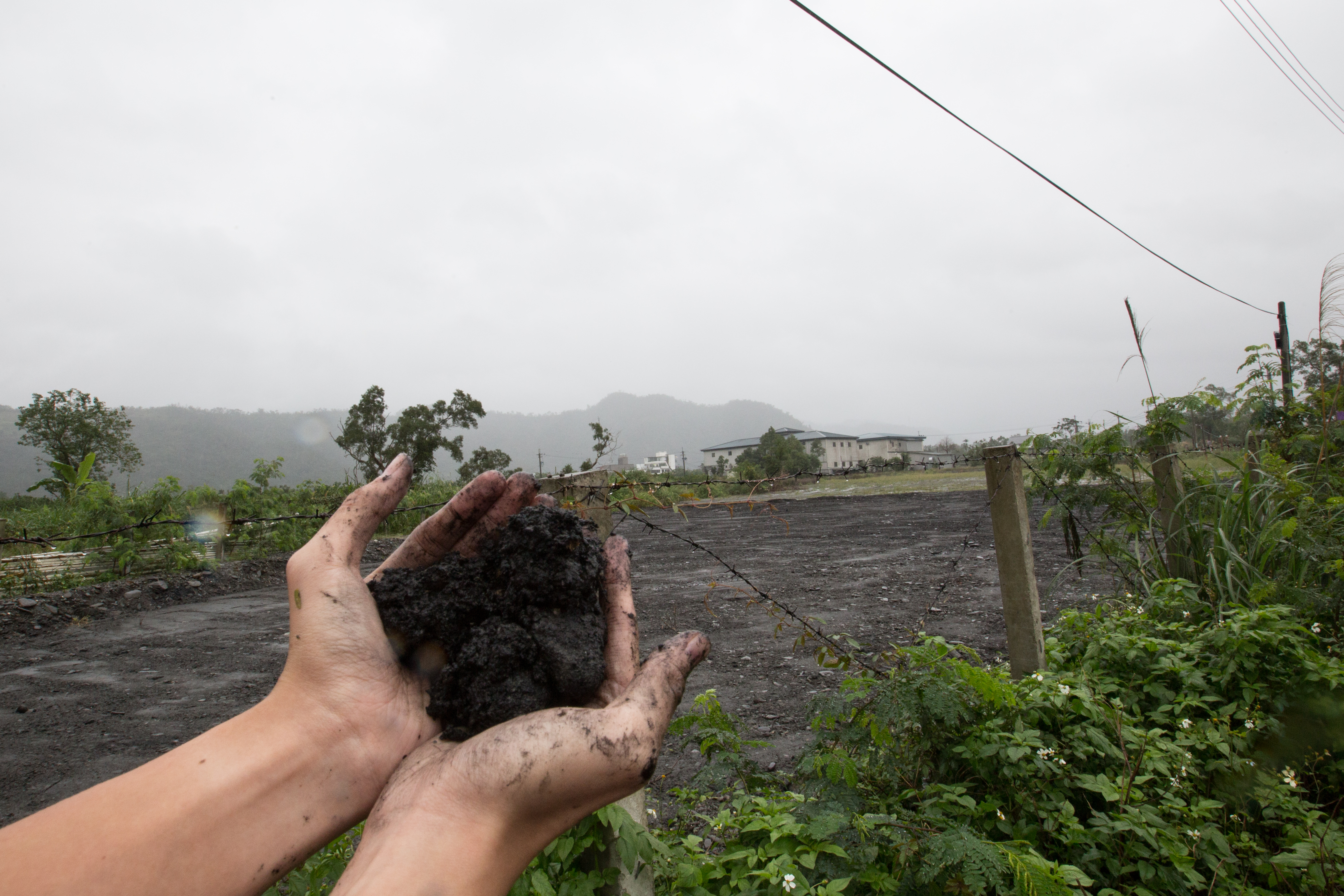 土質改良有新招？　生技公司廢料亂倒毀良田