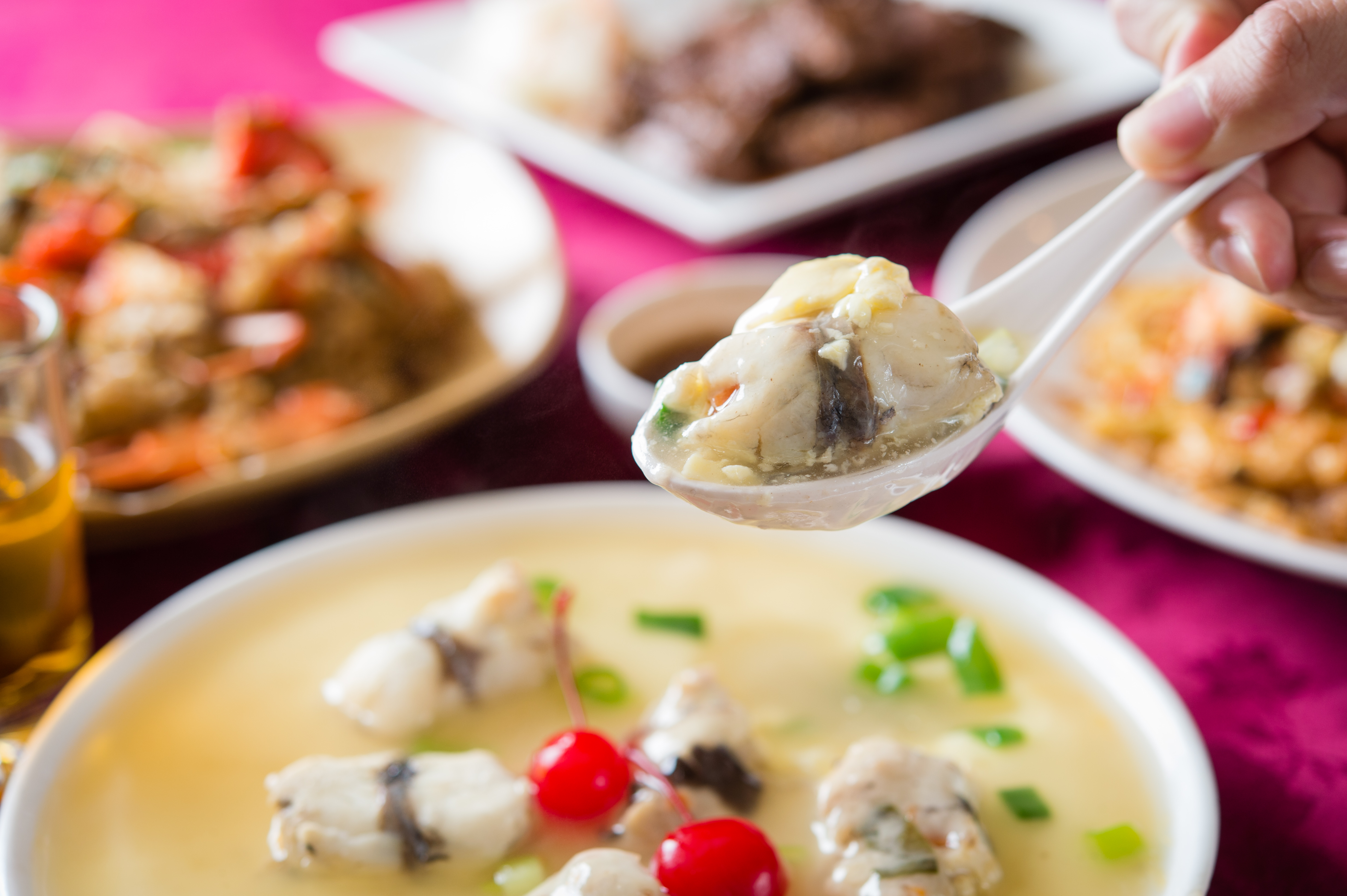「芙蓉玉帶魚捲」是以鮮嫩鱸魚肉包著脆口荸薺，與香綿的蒸蛋一起入口，味覺層次豐富。（500元／小份）