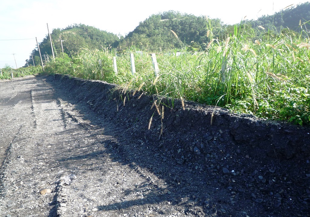 碧倫生技已將事業廢棄物挖除。
