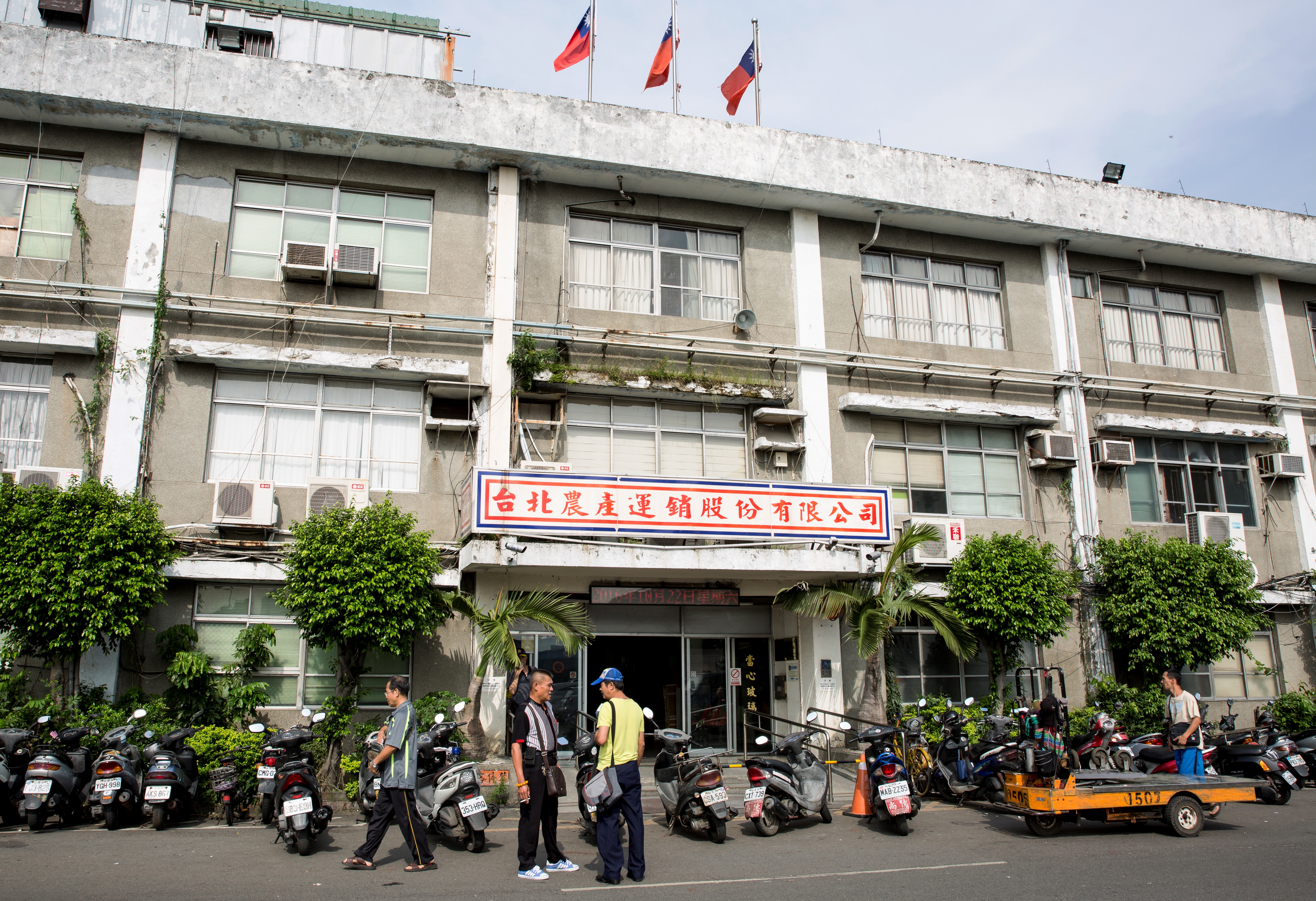 揪出果菜蟲　北檢12路搜索約8人