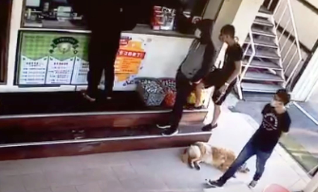 高爾夫球場財務糾紛　噴漆落人樣樣來