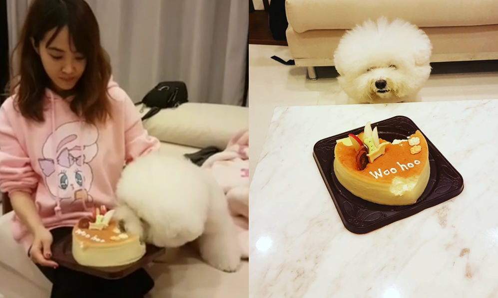 Jolin直播處女秀　只有他才辦得到