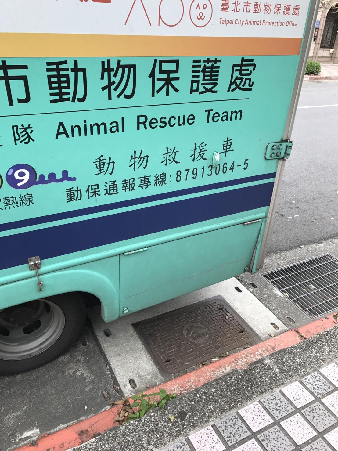 動物救援隊目前等待大型機具到場協助救援。