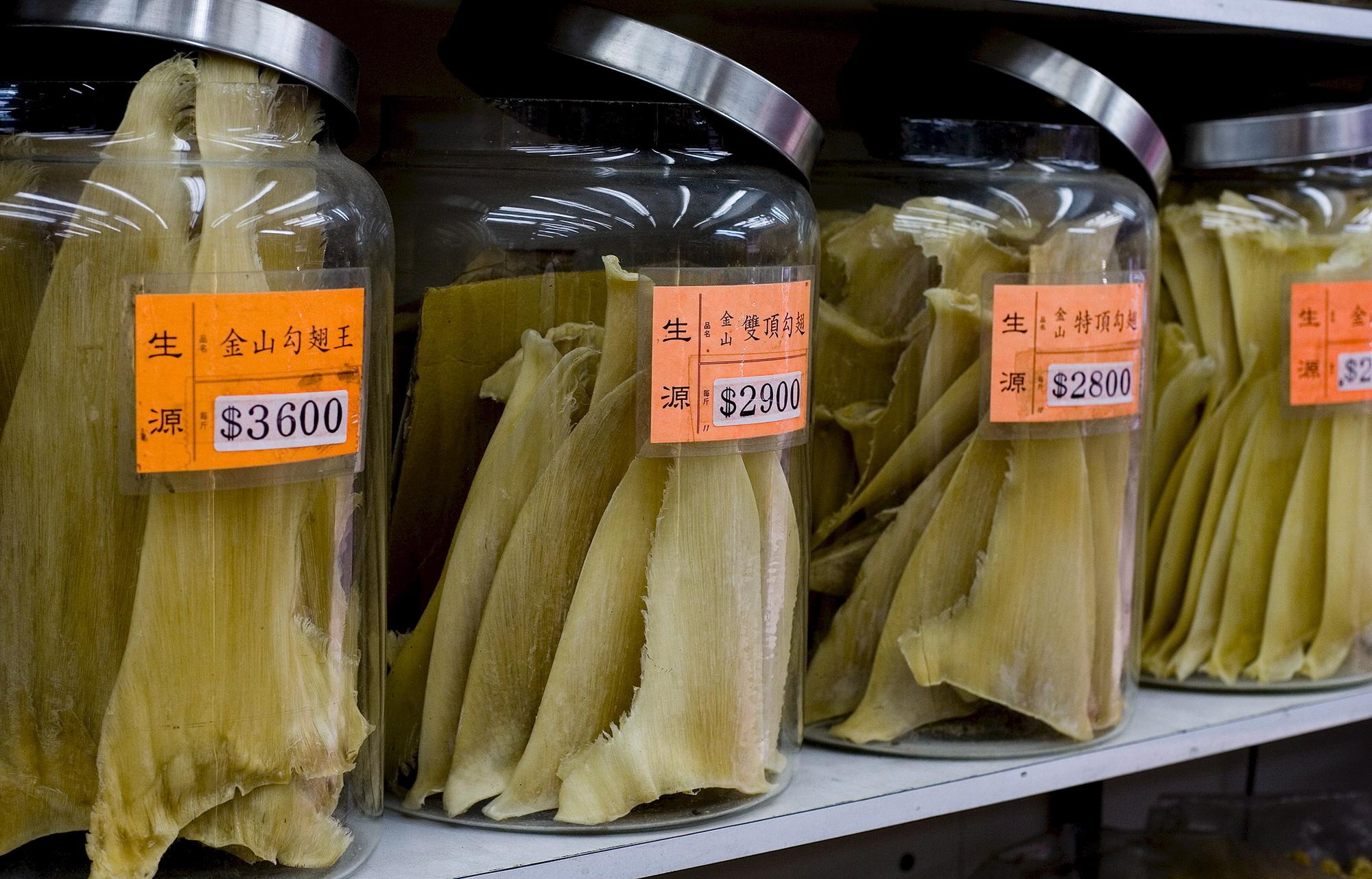 香港有全球「魚翅之都」稱號，是全球魚翅的貿易樞紐，但調查發現，多數人認為婚宴上有沒有魚翅都無所謂。（東方IC）